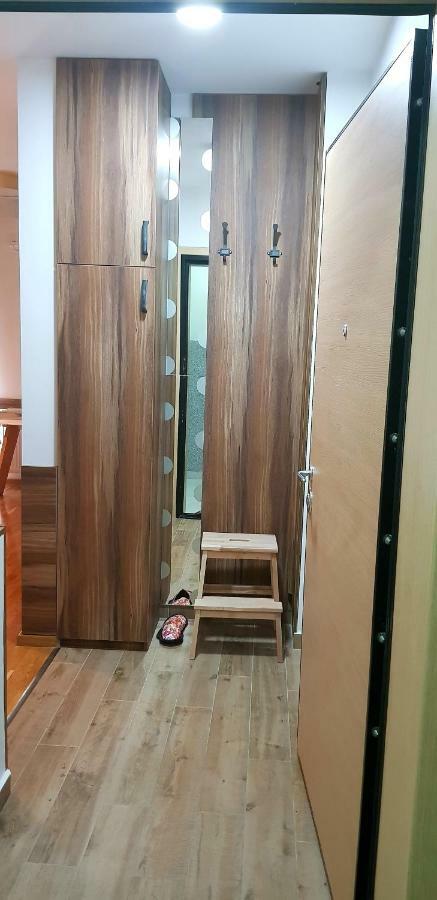 Uki-Modern Apartment With Parking ノヴィ・サド エクステリア 写真